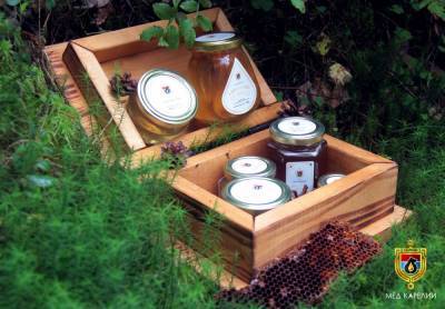 Популярность пчеловодства как бизнеса растёт в Карелии благодаря мерам господдержки - gubdaily.ru - республика Карелия