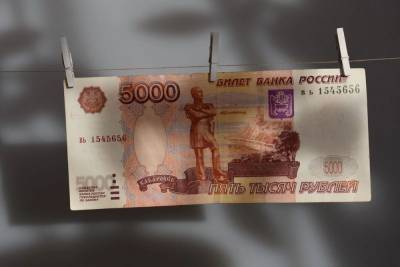 Воронежец отделался условным сроком за мошенничество на 11 млн рублей