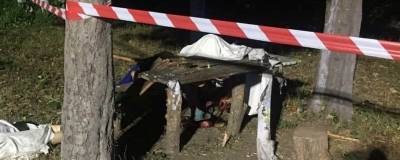 Смертельный отдых: В Черниговской области в результате взрыва гранаты погибли 3 человека