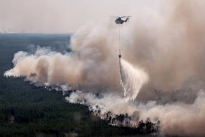 Площадь охваченных пожарами лесов в ХМАО в 17 раз превышает прошлогоднюю