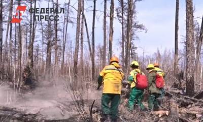 Специалисты Ноябрьского лесхоза нашли способ восстановления лесов