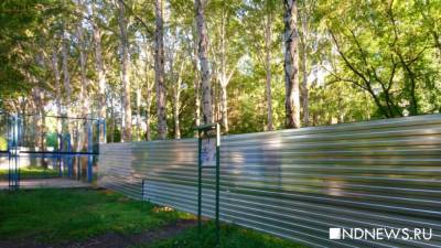 В Екатеринбурге на ребенка упал школьный забор. Прокуратура начала проверку