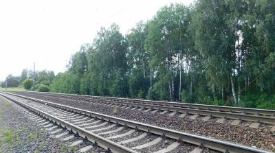 В Оршанском районе поезд сбил пенсионера