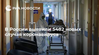 В России выявили 5482 новых случая коронавируса
