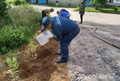 Общая забота: пожарные помогли в благоустройстве деревни Ганьково