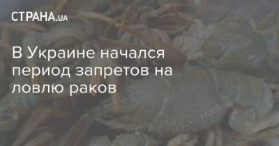 В Украине начался период запретов на ловлю раков