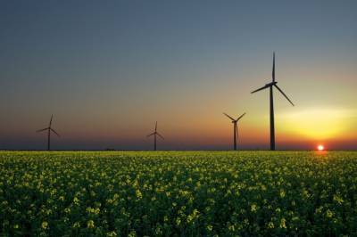 Зеленский подписал закон о "зеленой энергетике": премьер озвучил преимущества