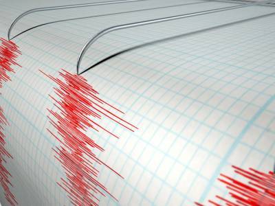 На Филлипинах произошло землетрясение магнитудой 5,6