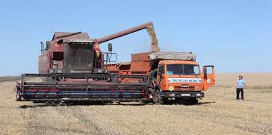В Орловской области намолотили первый миллион тонн зерна
