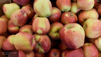 Ученые выяснили, что яблоки сокращают риск развития рака и болезней сердца