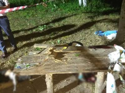 В черниговском селе от взрыва гранаты погибли двое мужчин и женщина