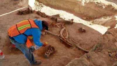 Ученые нашли свидетельства, что в Северной Америке жили люди 26 500 лет назад