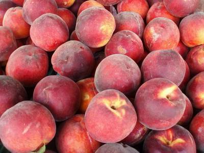 Диетолог объяснил, от чего спасают персики и абрикосы