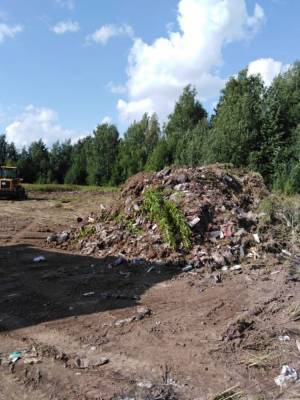 Около 1,5 млн рублей потратят на ликвидацию несанкционированных свалок в Глазовском районе