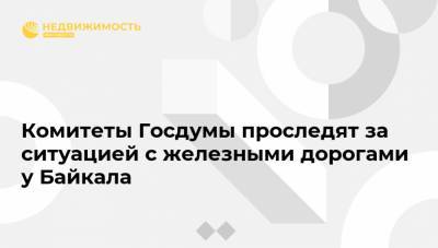 Комитеты Госдумы проследят за ситуацией с железными дорогами у Байкала