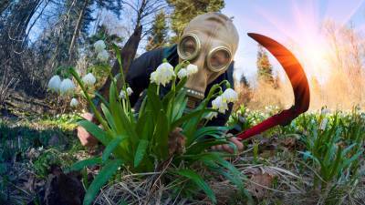 В Минздраве Подмосковья назвали топ-5 опасных растений региона