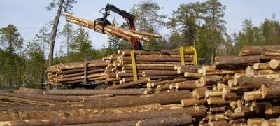 Путин подписал закон, позволяющий проводить сплошные рубки леса близ Байкала