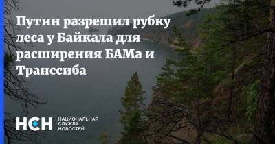 Путин разрешил рубку леса у Байкала для расширения БАМа и Транссиба