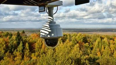 В Ивановской области расширили систему видеомониторинга лесов
