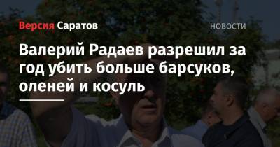 Валерий Радаев разрешил за год убить больше барсуков, оленей и косуль