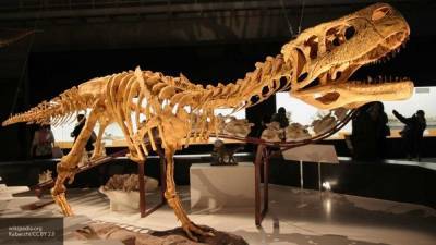 Ученые нашли доказательства существования общего предка динозавров