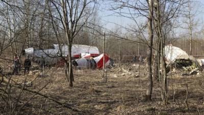 Коротченко разбил ложь Польши о «российском» тротиле, якобы взорвавшем Ту-154 Качиньского