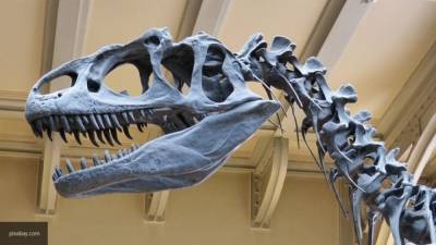 Ученые доказали происхождение всех динозавров от одного предка