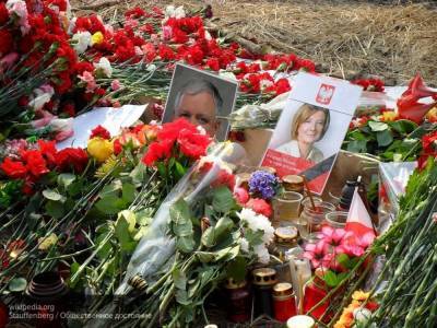 Антипов раскритиковал новую версию Польши о причинах крушения самолета Качиньского