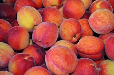 Диетолог Инна Кононенко предупредила о скрытой опасности персиков