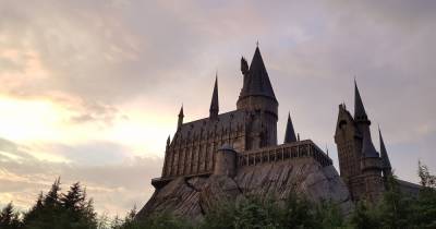 Тест “Клопс” к юбилею Гарри Поттера: почувствуй себя волшебником вне Хогвартса