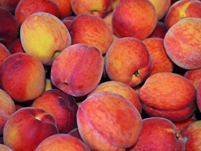 Диетолог рассказала о скрытой опасности персиков и абрикосов