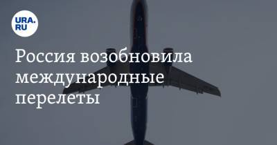 Россия возобновила международные перелеты. Список авиакомпаний, расписание