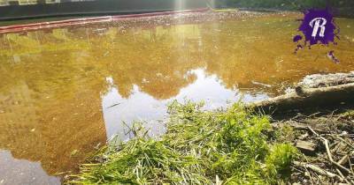 Виновником загрязнения Химкинского водохранилища назвали “Россети”