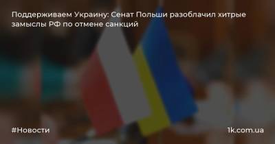 Поддерживаем Украину: Сенат Польши разоблачил хитрые замыслы РФ по отмене санкций