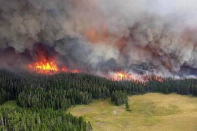Масштабы пожаров в России побили все рекорды предыдущего года