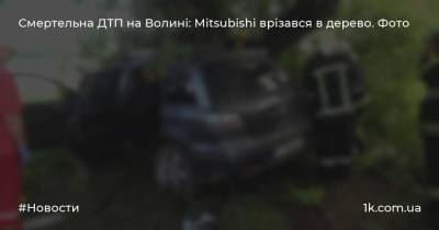 Смертельна ДТП на Волині: Mitsubishi врізався в дерево. Фото