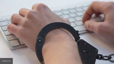 Блогер Манукян предложил уравнять наказание за киберпреступления с "реальными"