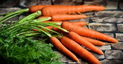 В Украине подешевела молодая морковь