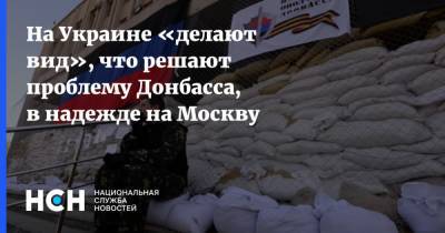 На Украине «делают вид», что решают проблему Донбасса, в надежде на Москву