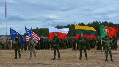 Сваровски: НАТО не успеет отреагировать на вылазку русских в Прибалтике