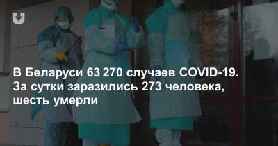 В Беларуси 63 270 случаев COVID-19. За сутки заразились 273 человека, шесть умерли