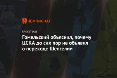 Гомельский объяснил, почему ЦСКА до сих пор не объявил о переходе Шенгелии