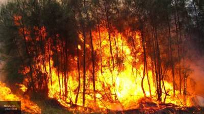 Якутские спасатели остановили чуть не подорвавший нефтебазу лесной пожар
