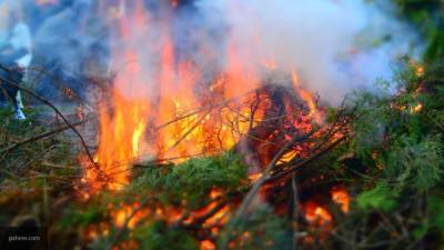 Мощный лесной пожар приблизился к нефтебазе в Якутии
