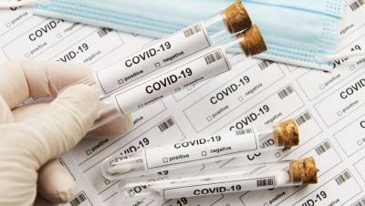 Число заражённых Covid-19 в мире превысило 11 млн человек