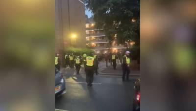Полицейские получили травмы при попытке разогнать вечеринку в Лондоне. Видео