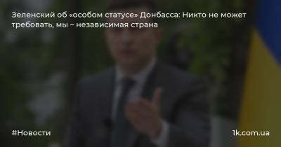 Зеленский об «особом статусе» Донбасса: Никто не может требовать, мы – независимая страна