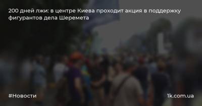 200 дней лжи: в центре Киева проходит акция в поддержку фигурантов дела Шеремета