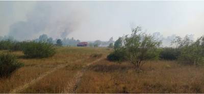 Второй за несколько дней: пожар в лесу Белокалитвинского района тушили почти сутки