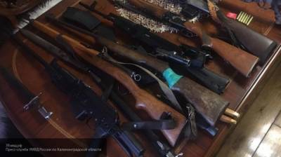 Силовики Москвы задержали химика с домашним арсеналом оружия